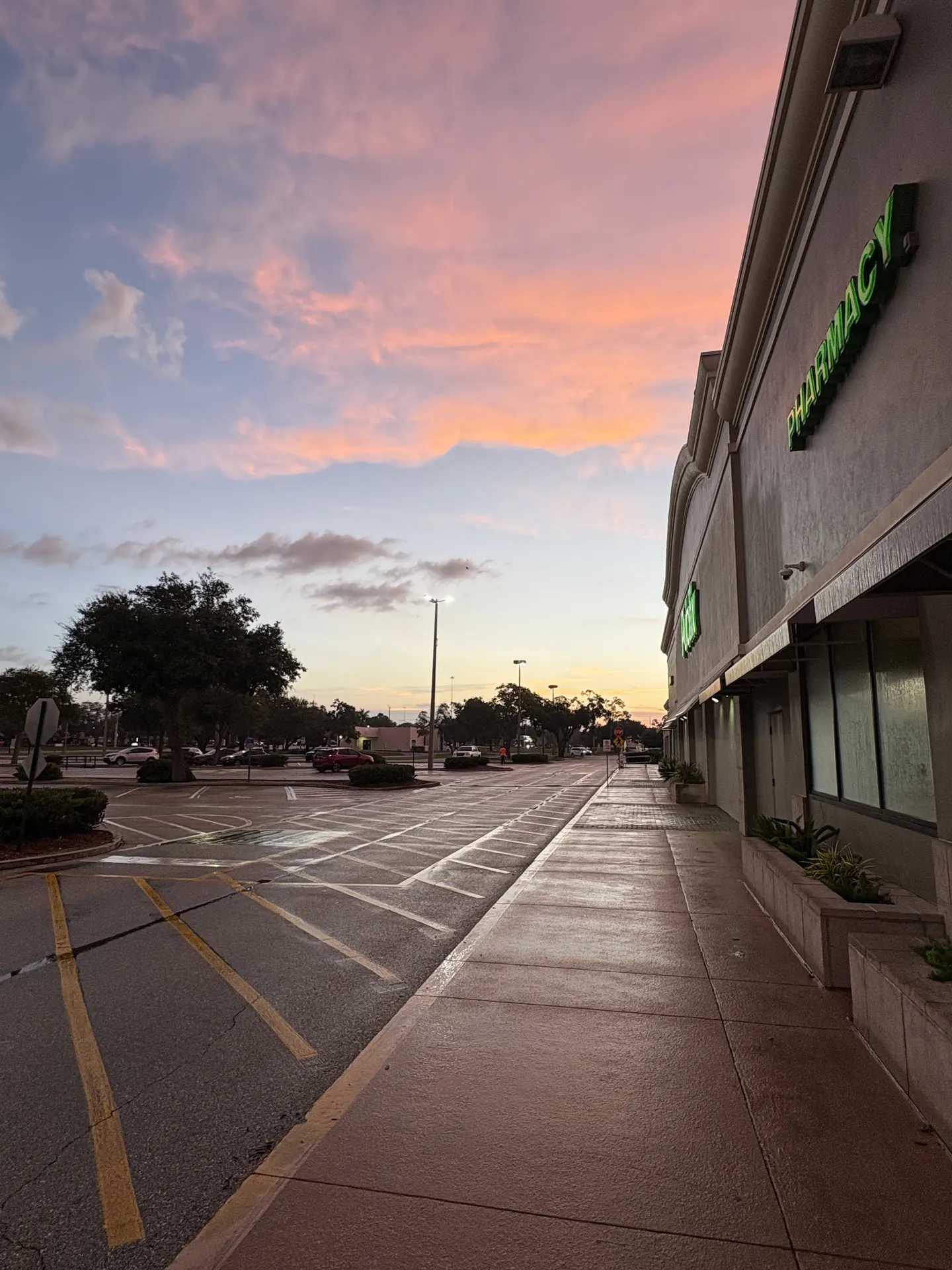 Wide wet sidewalk and parking lane in front of a shopping center at sunset under a pink sky