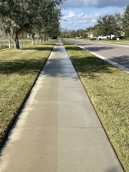 Concrete sidewalk beside a road and pond lined with oak trees, mostly even gray with a faint lighter strip down the middle