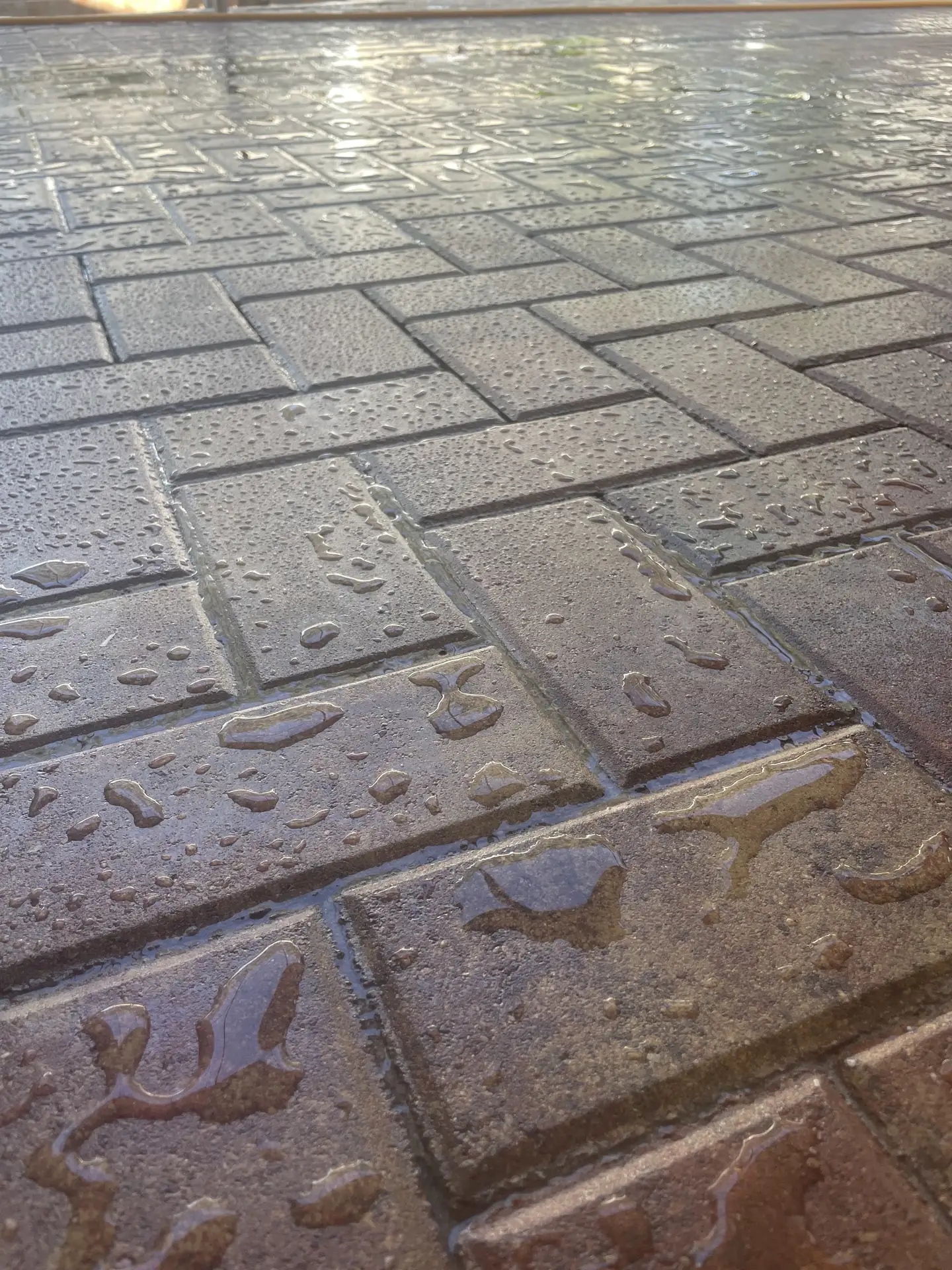 Low angle on wet interlocking pavers with a bluish sheen and standing water drops