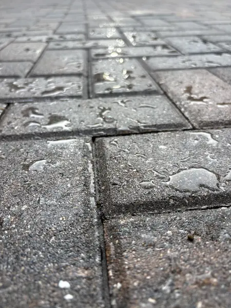 Low angle close up of wet gray pavers with water droplets and dark joints