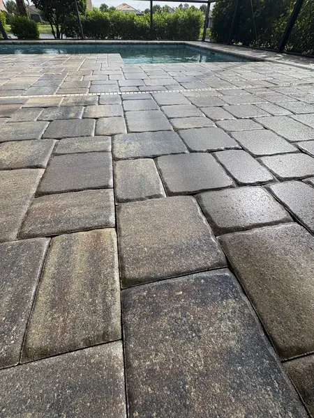 Wet multi-tone tumbled pavers on a pool deck, with the pool and screen enclosure behind them
