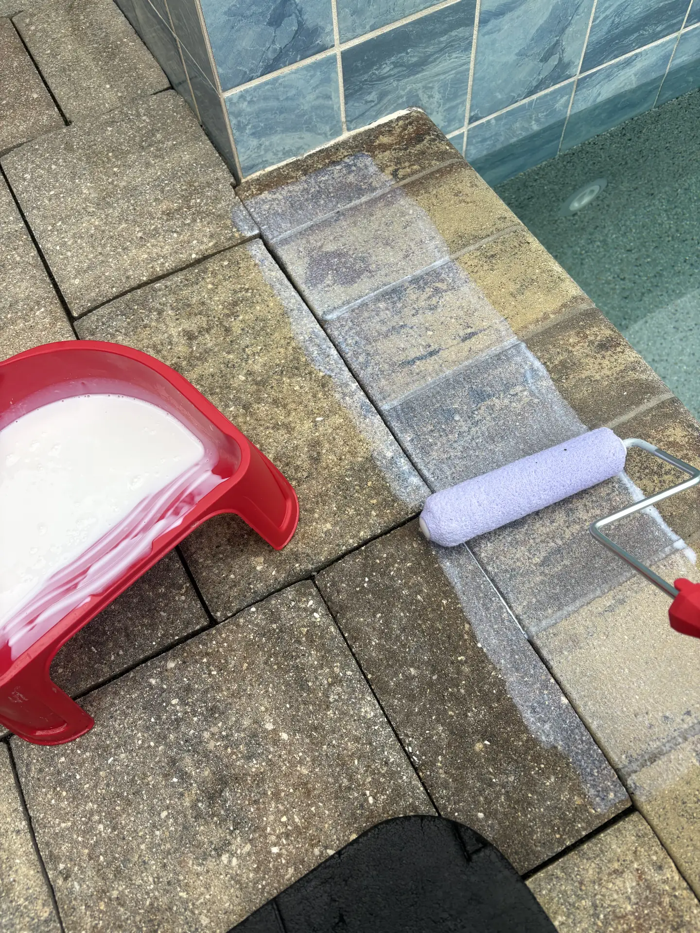 Roller and red tray of white sealer being used on pavers at the edge of a pool, with a coated strip visible