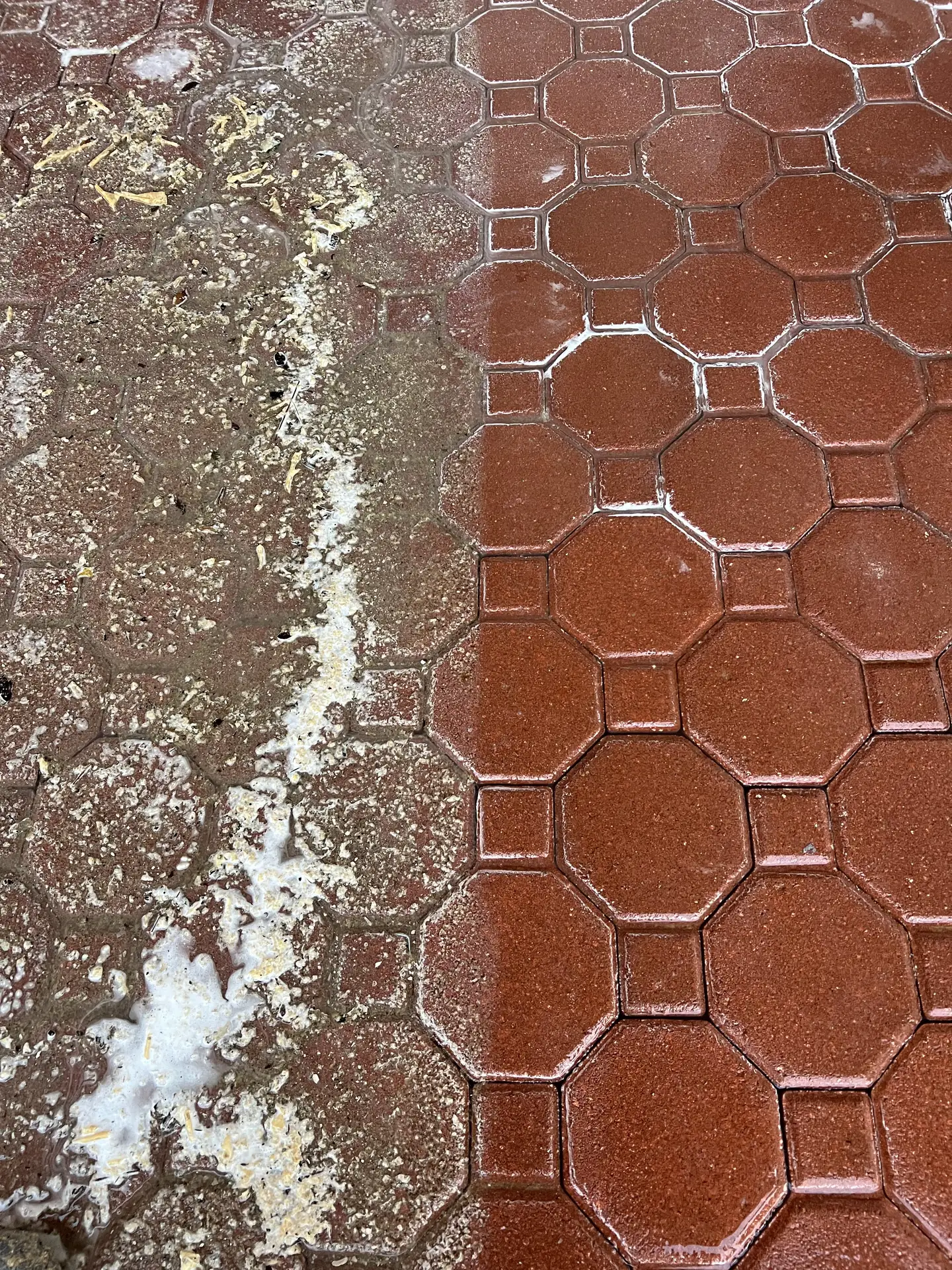 Red octagon pavers split down the middle: foamy and dull on the left, clean saturated red on the right