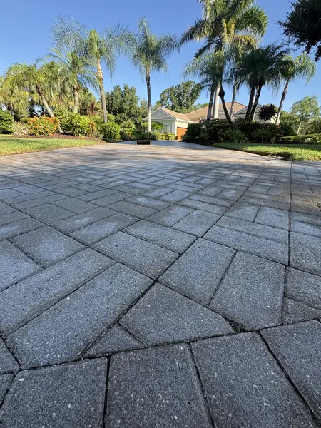 Gray herringbone paver driveway leading toward homes and palm trees under a clear blue sky