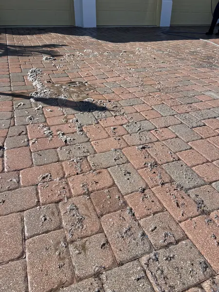 Driveway pavers covered in clumps of gray residue and foam during cleaning, with garage doors behind